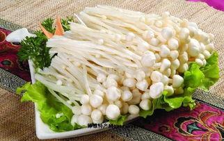 忆马鲜金针菇的爆料视频,新鲜背后的秘密 第3张 忆马鲜金针菇的爆料视频,新鲜背后的秘密 第3张